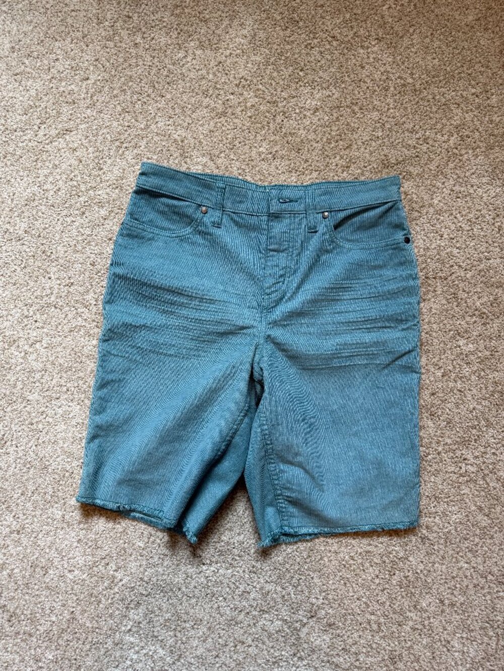 Oahu Hi Rise 10" Short, Size 2
